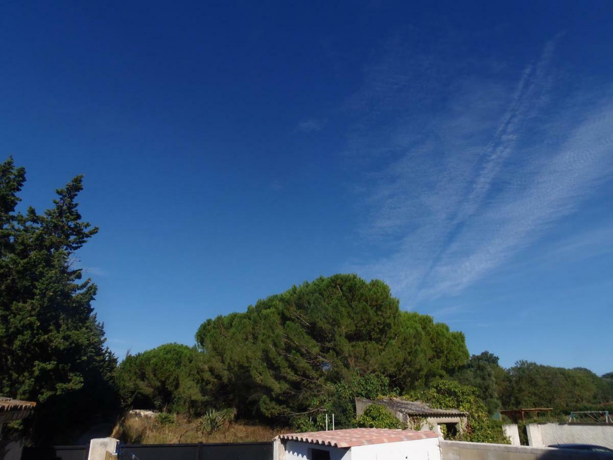 Joli Mazet Entre Montpellier Et Nimes Apartment Aimargues Exterior photo